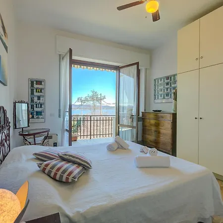 Blooming Cos View - Happy