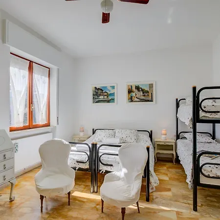 Blooming Cos View - Happy