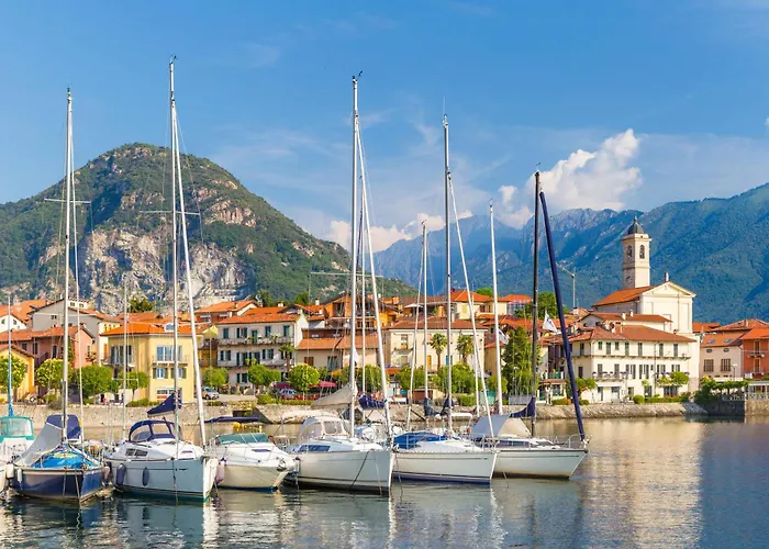 Blooming Cos View - Happy Belgirate