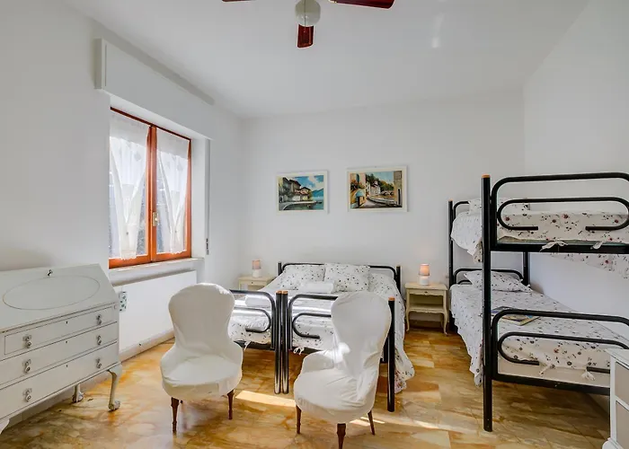 Blooming Cos View - Happy