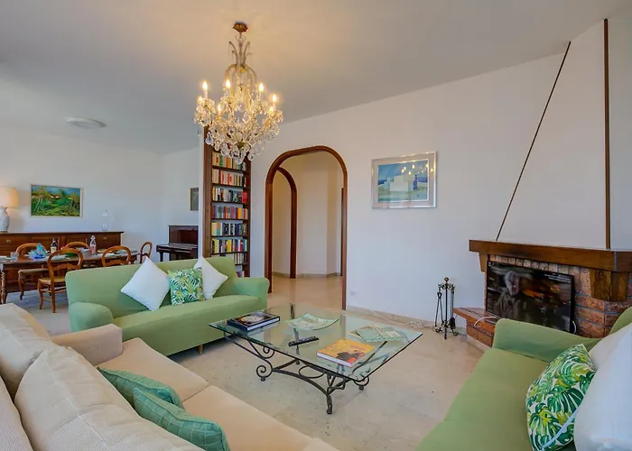 Blooming Cos View - Happy