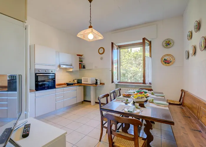 Blooming Cos View - Happy Belgirate