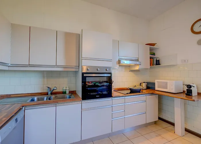 Blooming Cos View - Happy Belgirate